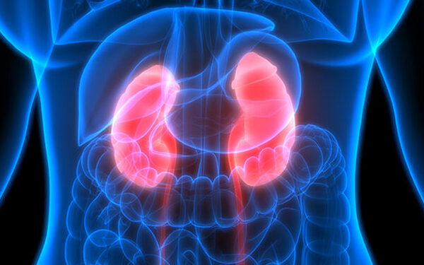 kidney stone treatment in pune