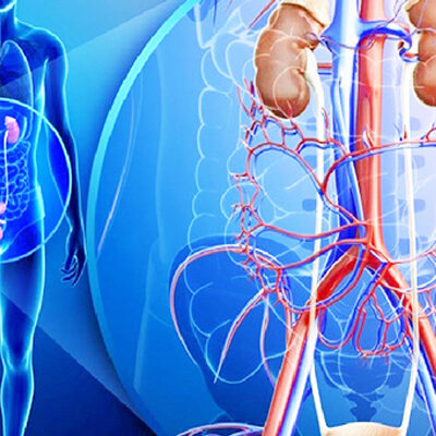 kidney stone treatment in pune