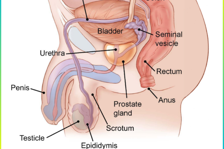 Testicular Cancer Treatment In Pune