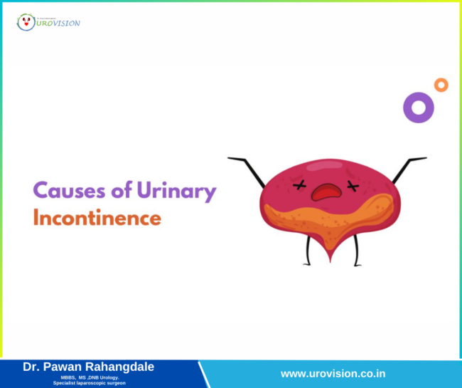 Understanding the Causes of Urinary Incontinence Urinary Incontinence treatment in pune