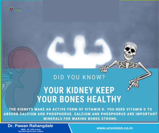 Your Kidney keep your bones healthy Kindney Treatment in pune