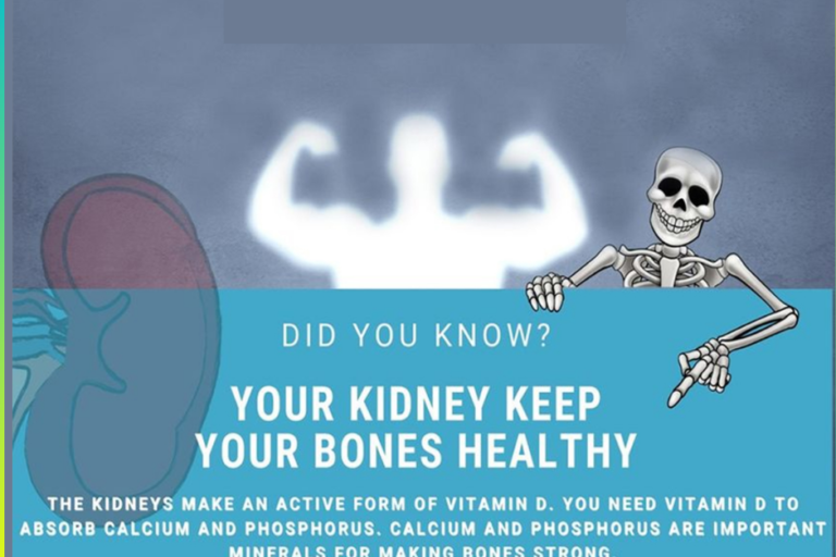 Kindney Treatment in pune