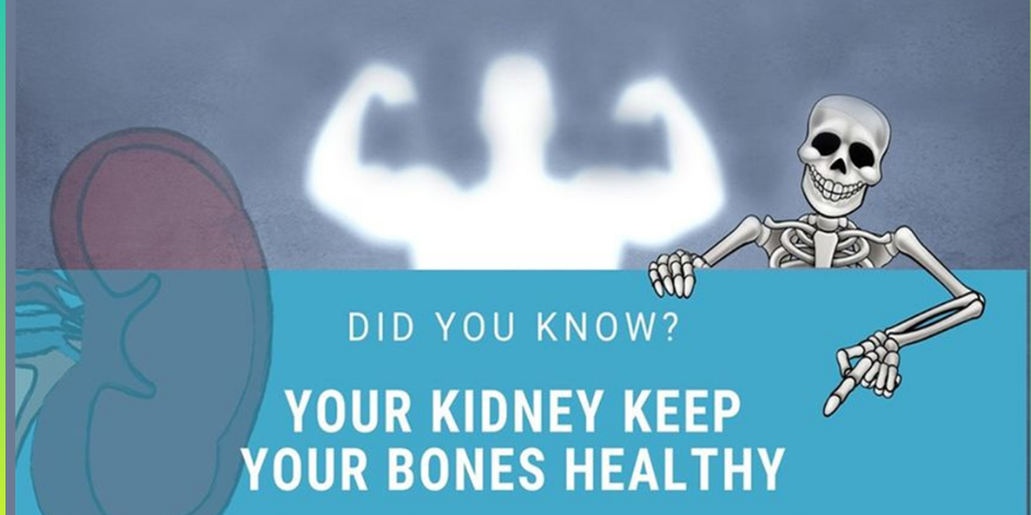 Your Kidney keep your bones healthy Kindney Treatment in pune