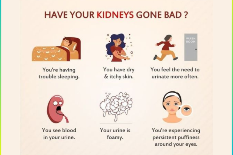 Kidney Health Treatment in Pune