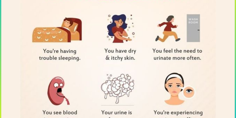 Has Your Has Your Kidney Health Declined? Recognizing the Warning Signs Declined? Recognizing the Warning Signs Kidney Health Treatment in Pune