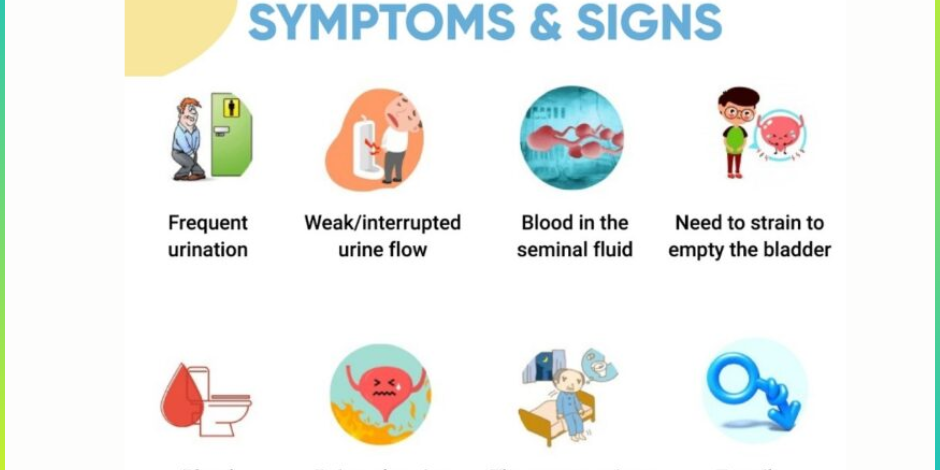 Understanding Prostate Cancer: Symptoms, Diagnosis, and Treatment Prostate cancer Treatment in Pune