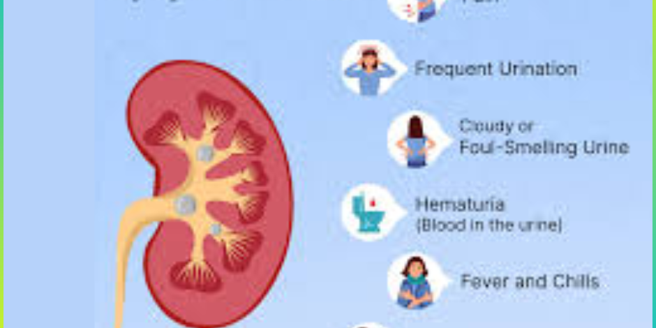 Kidney Stones Treatment in Pune