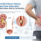 Kidney Stone Treatment in Pune